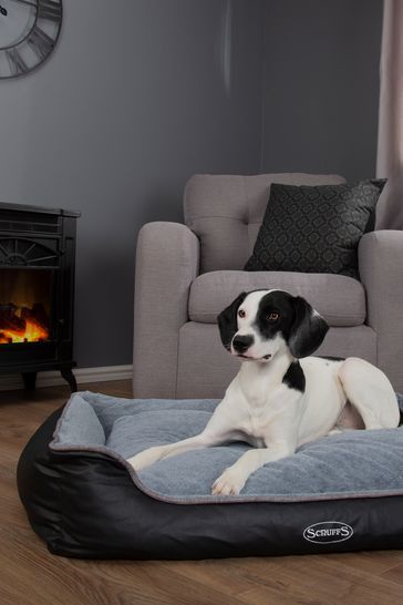 next dog bed
