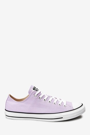 purple converse uk