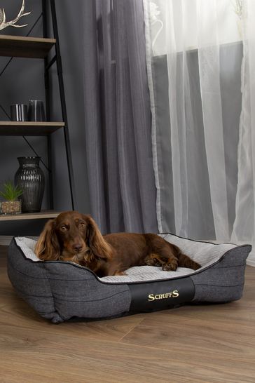 scruffs dog bed