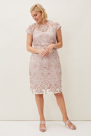 Buy Phase Eight Pink Frances Lace Dress ...