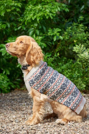 Buy Fairisle Knit Dog Jumper from the 