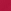 Raspberry Rose