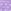 Lilac Purple Hedgehog