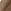 Ultra Dark Brown