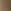 Brown Bear