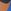 Blue/Orange Colourblock