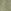 Moss Green