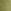 Olive Ginger