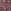 Beere/Violett