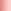 Delicious Rhubarb & Rose