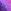 Bright Purple
