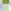 Green Check