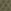 Soft Velvet Dark Sage Green