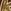 K. - Auksinis tonas
