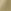 Neutral Olive Green