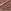 Chocolate Lustre