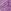 Royal Lustre