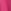 Bright Pink Slogan