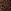 Léopard marron