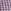 Lilac Purple