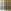 Ochre Yellow