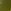 Khaki Green