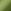 Khaki Green