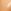 Warm Peach