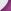 Purple/White