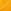 Mustard Yellow Guinea Pig
