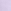 Purple Lilac