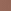 Deep Coral