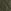 Khaki Green