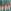 Teal Blue Ikat