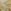 Ochre Yellow