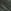 Khaki Green