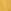 Yellow Winter Gold