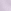 Brassica Lilac