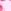 Light Pink Floral