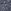 Navy Blue Floral
