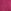 Magenta roza