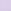 Purple Lilac