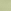 Burnt Olive Green