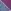Fuchsia Pink/Blue