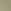 Green Olive Grit