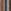 Neutral/Blue Stripe
