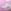 Pale Pink
