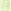 Lime Green Tie Dye
