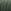 Soft Velvet Teal Green