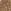 Dourado